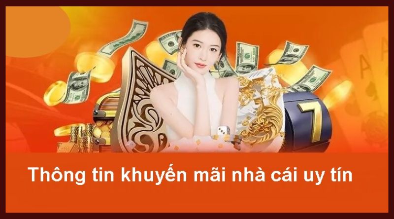 Chương trình khuyến mãi là một trong những yếu tố then chốt giúp 8KBET trở nên khác biệt so với các sân chơi cá cược khác.