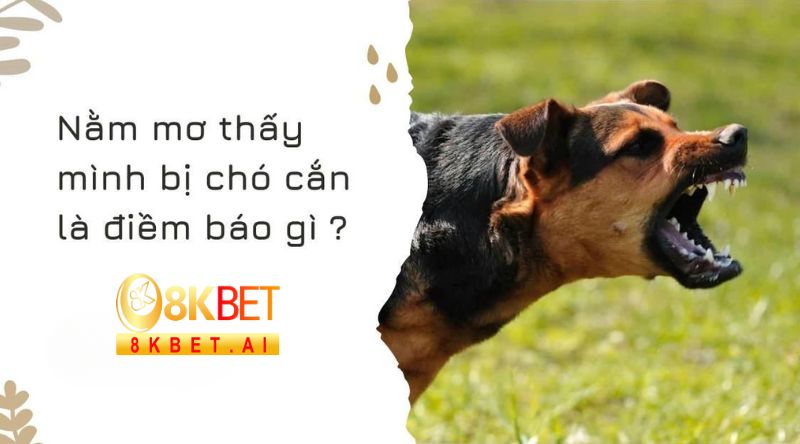 Nằm Mơ Thấy Chó Cắn là điềm báo gì?